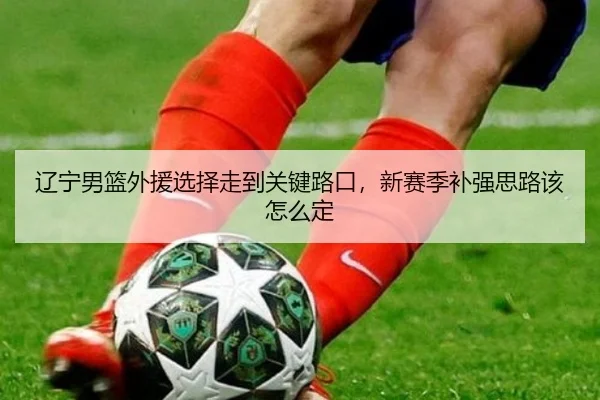 辽宁男篮外援选择走到关键路口，新赛季补强思路该怎么定